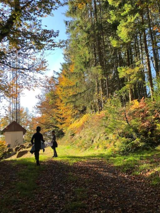 Le Chalet Des Coeurs Le Tholy Eksteriør billede