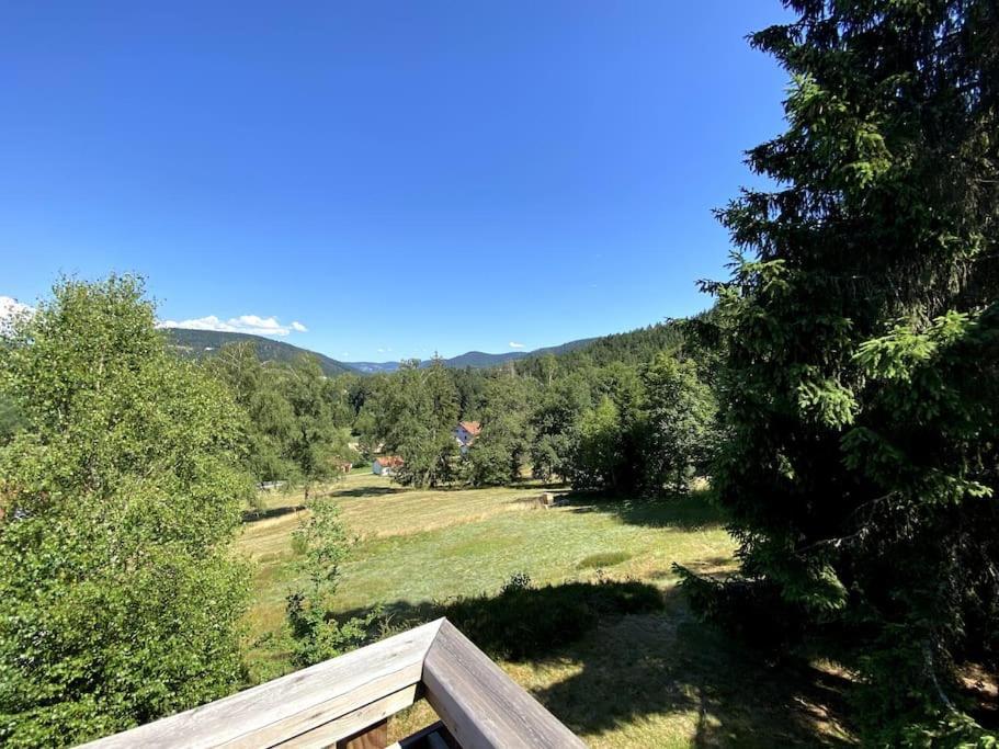Le Chalet Des Coeurs Le Tholy Eksteriør billede
