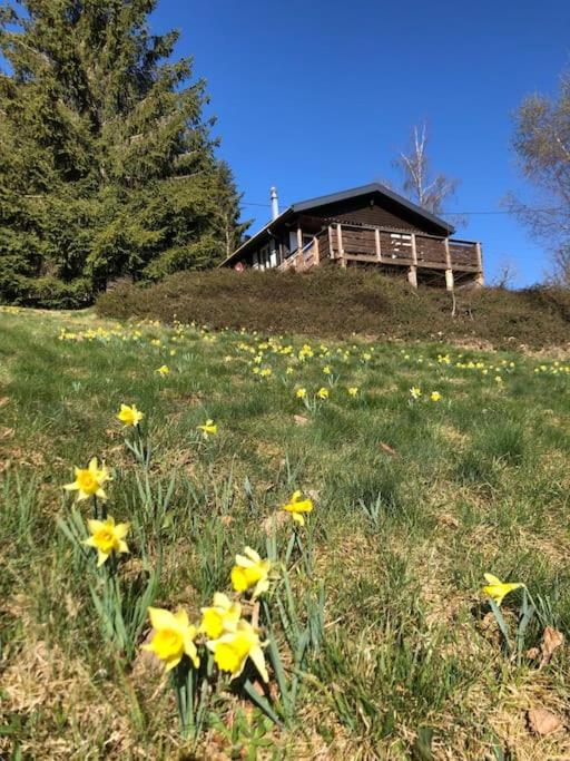 Le Chalet Des Coeurs Le Tholy Eksteriør billede