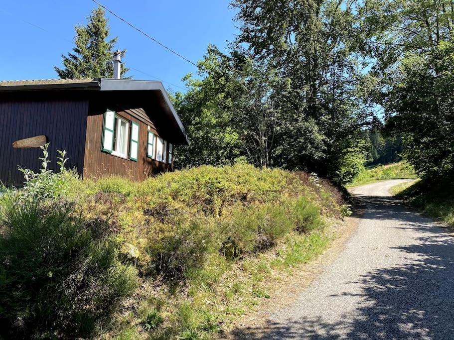 Le Chalet Des Coeurs Le Tholy Eksteriør billede